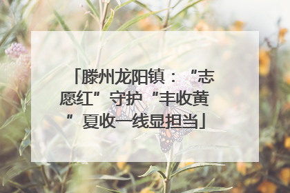 滕州龙阳镇：“志愿红”守护“丰收黄”夏收一线显担当