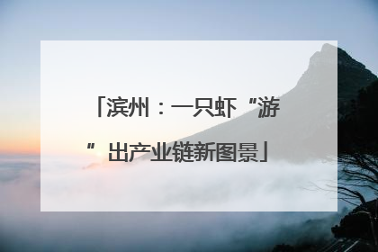 滨州：一只虾“游”出产业链新图景