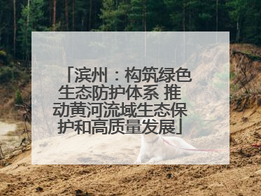滨州：构筑绿色生态防护体系 推动黄河流域生态保护和高质量发展