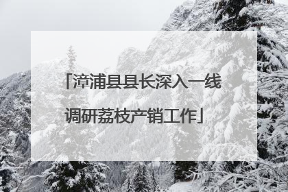 漳浦县县长深入一线调研荔枝产销工作