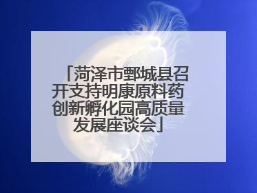 菏泽市鄄城县召开支持明康原料药创新孵化园高质量发展座谈会