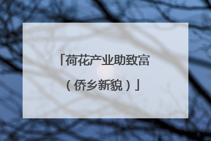 荷花产业助致富（侨乡新貌）