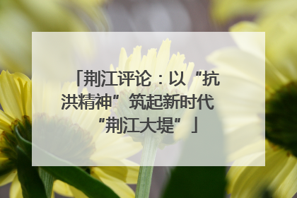 荆江评论：以“抗洪精神”筑起新时代“荆江大堤”
