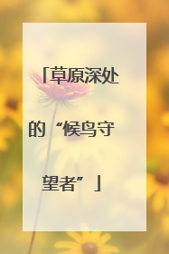 草原深处的“候鸟守望者”
