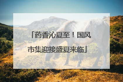 药香沁夏至！国风市集迎接盛夏来临