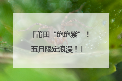 莆田“绝绝紫”！五月限定浪漫！