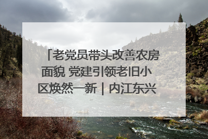 老党员带头改善农房面貌 党建引领老旧小区焕然一新｜内江东兴“红”在哪？④
