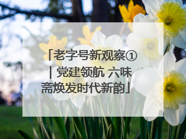 老字号新观察①｜党建领航 六味斋焕发时代新韵