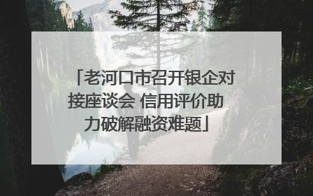 老河口市召开银企对接座谈会 信用评价助力破解融资难题