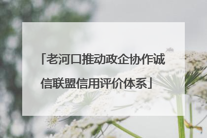 老河口推动政企协作诚信联盟信用评价体系