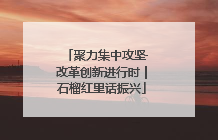 聚力集中攻坚·改革创新进行时｜石榴红里话振兴