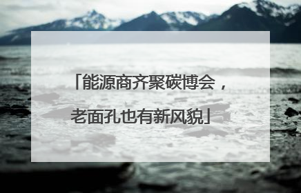 能源商齐聚碳博会，老面孔也有新风貌