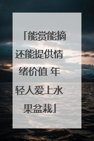 能赏能摘还能提供情绪价值 年轻人爱上水果盆栽