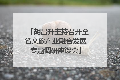 胡昌升主持召开全省文旅产业融合发展专题调研座谈会