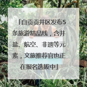 自贡贡井区发布5条旅游精品线，含井盐、航空、非遗等元素，文旅推荐官也正在报名选拔中