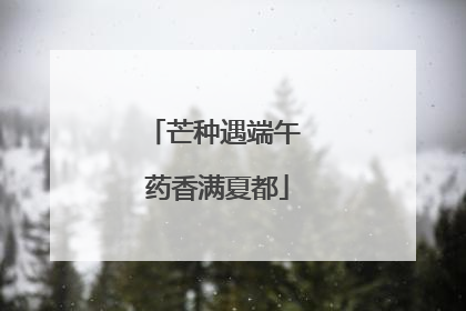 芒种遇端午 药香满夏都