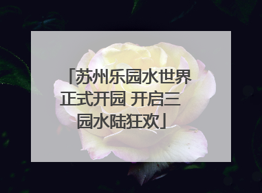 苏州乐园水世界正式开园 开启三园水陆狂欢