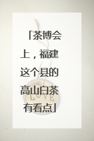 茶博会上，福建这个县的高山白茶有看点