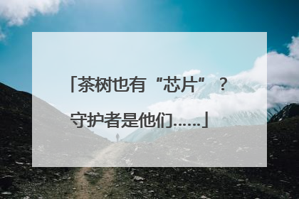茶树也有“芯片”？守护者是他们……