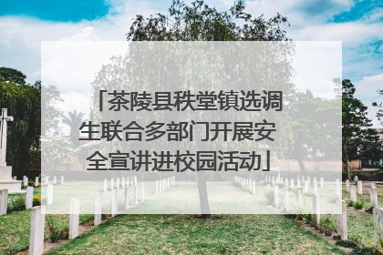 茶陵县秩堂镇选调生联合多部门开展安全宣讲进校园活动