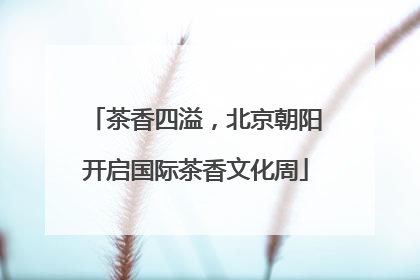 茶香四溢，北京朝阳开启国际茶香文化周