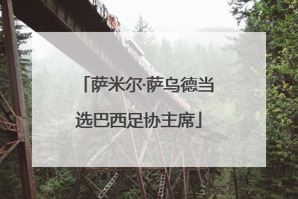 萨米尔·萨乌德当选巴西足协主席