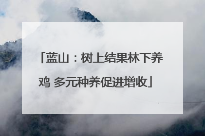 蓝山：树上结果林下养鸡 多元种养促进增收