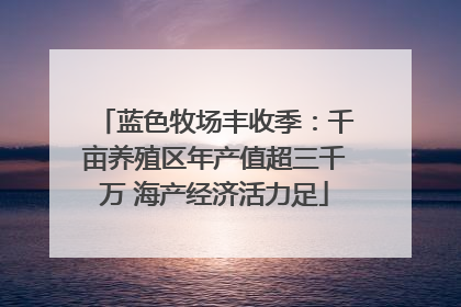蓝色牧场丰收季：千亩养殖区年产值超三千万 海产经济活力足