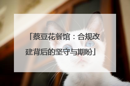 蔡豆花餐馆：合规改建背后的坚守与期盼
