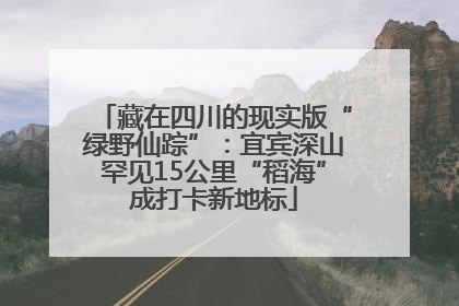 藏在四川的现实版“绿野仙踪”：宜宾深山罕见15公里“稻海”成打卡新地标