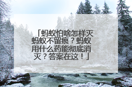 蚂蚁怕啥怎样灭蚂蚁不留痕？蚂蚁用什么药能彻底消灭？答案在这！