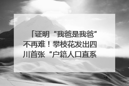 证明“我爸是我爸”不再难！攀枝花发出四川首张“户籍人口直系亲属关系谱”