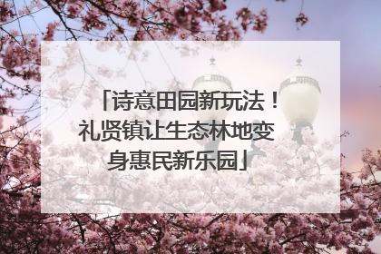 诗意田园新玩法！礼贤镇让生态林地变身惠民新乐园