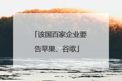 该国百家企业要告苹果、谷歌