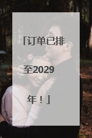 订单已排至2029年！