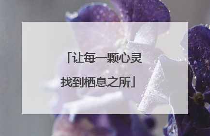 让每一颗心灵找到栖息之所