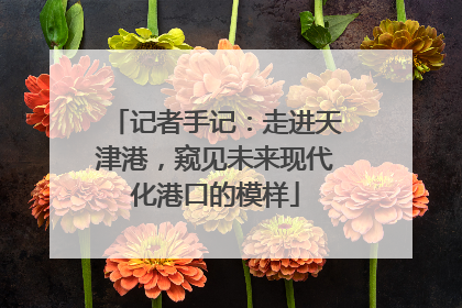 记者手记：走进天津港，窥见未来现代化港口的模样