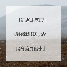记者走基层｜拆袋就出菇，农民育菌真省事