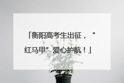 衡阳高考生出征，“红马甲”爱心护航！