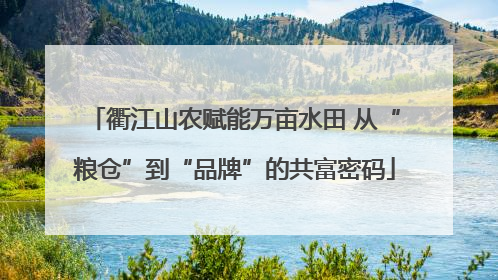 衢江山农赋能万亩水田 从“粮仓”到“品牌”的共富密码