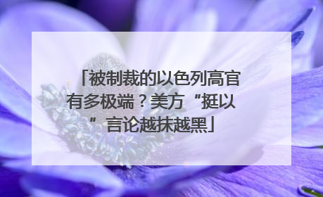 被制裁的以色列高官有多极端？美方“挺以”言论越抹越黑