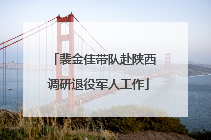 裴金佳带队赴陕西调研退役军人工作