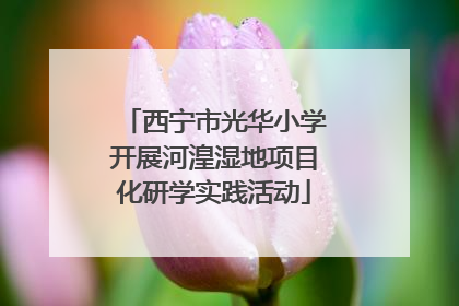 西宁市光华小学开展河湟湿地项目化研学实践活动