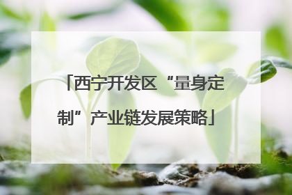 西宁开发区“量身定制”产业链发展策略