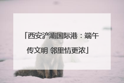 西安浐灞国际港：端午传文明 邻里情更浓