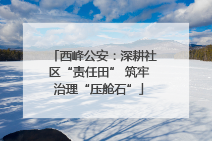 西峰公安：深耕社区“责任田” 筑牢治理“压舱石”