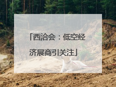 西洽会：低空经济展商引关注