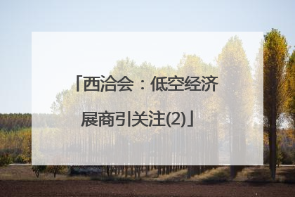 西洽会：低空经济展商引关注(2)