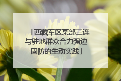 西藏军区某部三连与驻地群众合力强边固防的生动实践