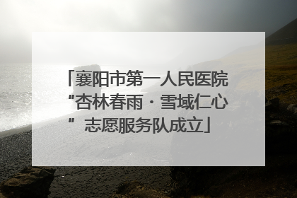 襄阳市第一人民医院“杏林春雨・雪域仁心”志愿服务队成立